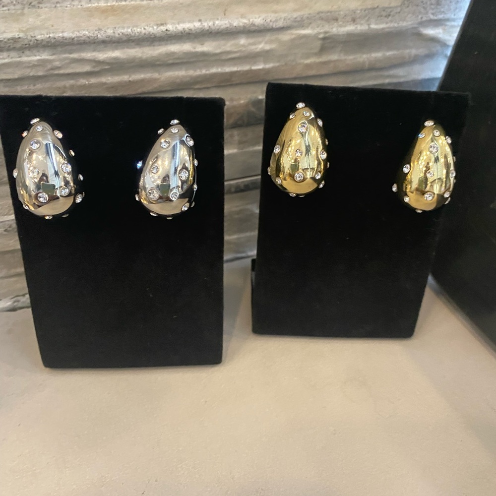 Earrings with Attitude